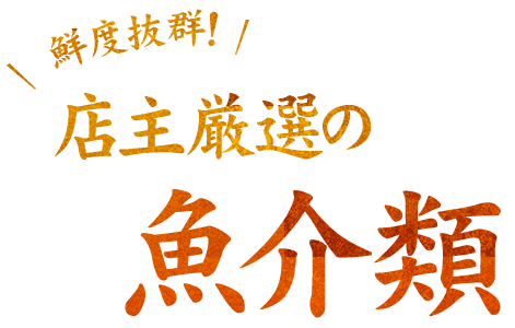 店主厳選の魚介類