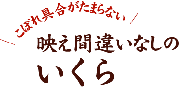 映え間違いなしのいくら