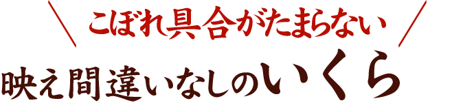 映え間違いなしのいくら